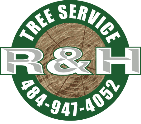 R & H Tree Service